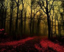 Image result for Dark Gothic Forest Wallpaper