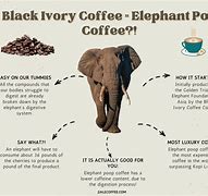 Image result for Coffee Commercial Ivory