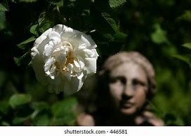 Image result for White Rose Sculpture