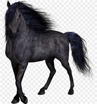 Image result for Horse Mane Clip Art