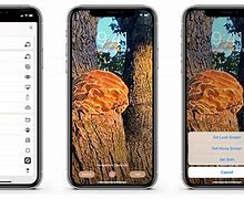 Image result for Customize Home Screen Wallpaper