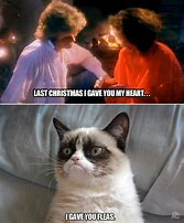 Image result for Best Grumpy Cat Christmas Meme