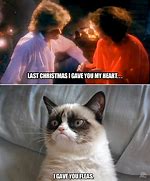 Image result for Grumpy Cat Xmas Meme
