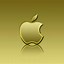 Image result for Rose Gold Apple Logo