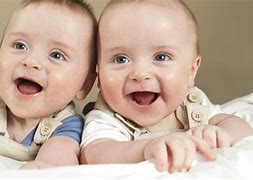 Image result for Twins Common