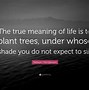 Image result for Plant Trees Quotes
