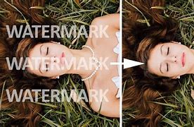 Image result for Stock Photo Watermark