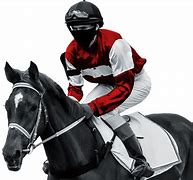 Image result for Wallpaper for Laptop Racing Horse