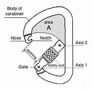 Image result for Carabiner Structure