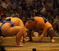 Image result for Japan Sumo Playing Baseball