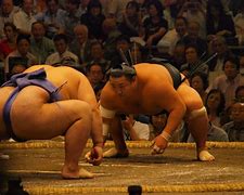 Image result for Sumo Wrestling Match