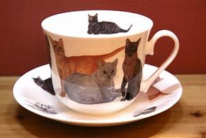 Image result for Pop Up Cat Cup