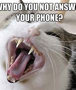 Image result for Answer the Phone Funny Meme