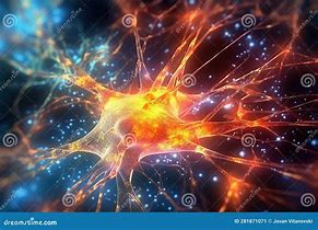 Image result for Human Brain Neurons Firing