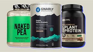 Image result for Protein Powder