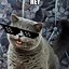 Image result for Cheezburger Cat Meme