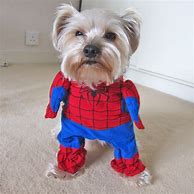 Image result for Funny Dogs in Costumes
