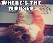 Image result for It Cat Meme