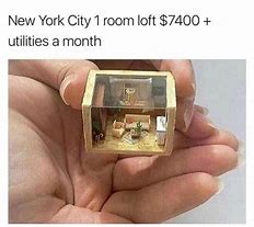 Image result for Funny New York Memes