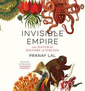 Image result for Invisible Empire Book