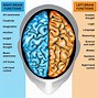 Image result for Brain Lateralization