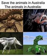 Image result for Australia Animal Memes
