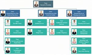 Image result for Functional Organizational Chart