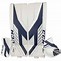 Image result for Ice Hockey Goalie Equipment