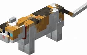Image result for Most Rare Cat in Minecraft