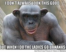 Image result for Happier Monkey Meme