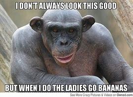 Image result for Hit Monkey Memes