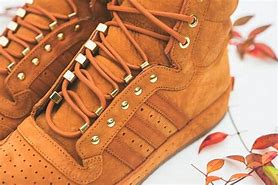 Image result for Hill Fox Adidas
