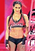 Image result for WWE Nikki Bella Wrestling