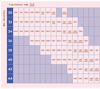 Image result for Bra Band Size Chart