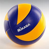 Image result for Official Volleyball Ball