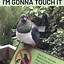 Image result for Funny Bird Memes Clean