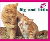 Image result for Big and Little