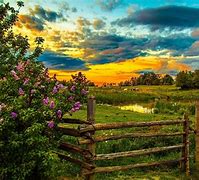 Image result for Peaceful Farm Scenes