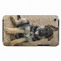 Image result for German Shepherd Pup iPod Touch Case