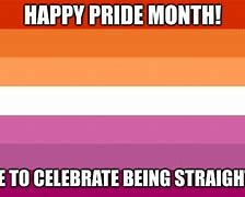 Image result for Pride Ally Memes