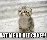 Image result for Sad Cat Birthday Cake Meme