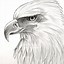 Image result for Native American Eagle Drawings