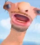 Image result for Sloth Ali A