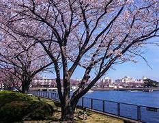 Image result for Yokosuka Japan