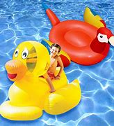 Image result for Animal Pool Floats