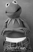 Image result for Kermit Quots