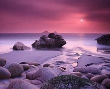 Image result for Hot Pink Nature