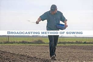 Image result for Broadcasting of Seeds