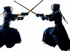 Image result for Different Martial Arts Styles