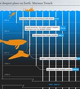 Image result for Depth Meter Meme